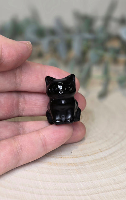 Chat en Obsidienne