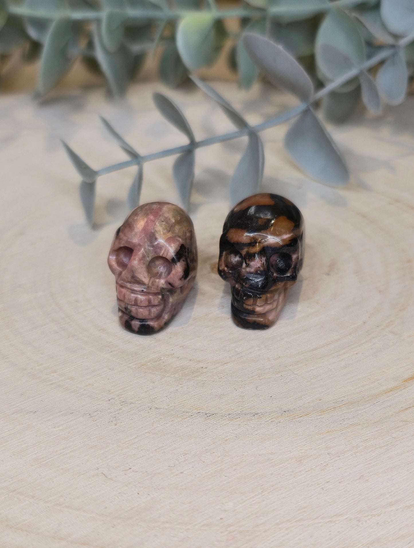 Mini Crâne en Bois fossilisé