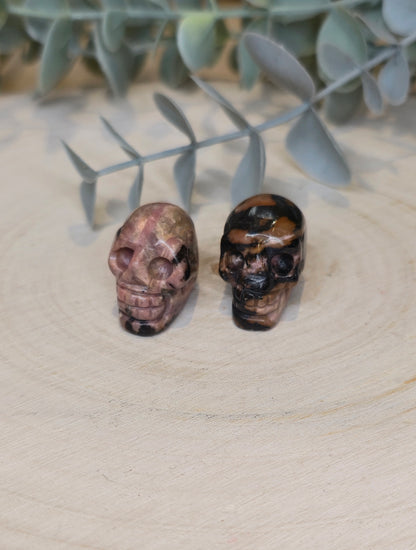 Mini Crâne en Bois fossilisé