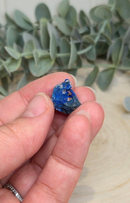 Azurite brute