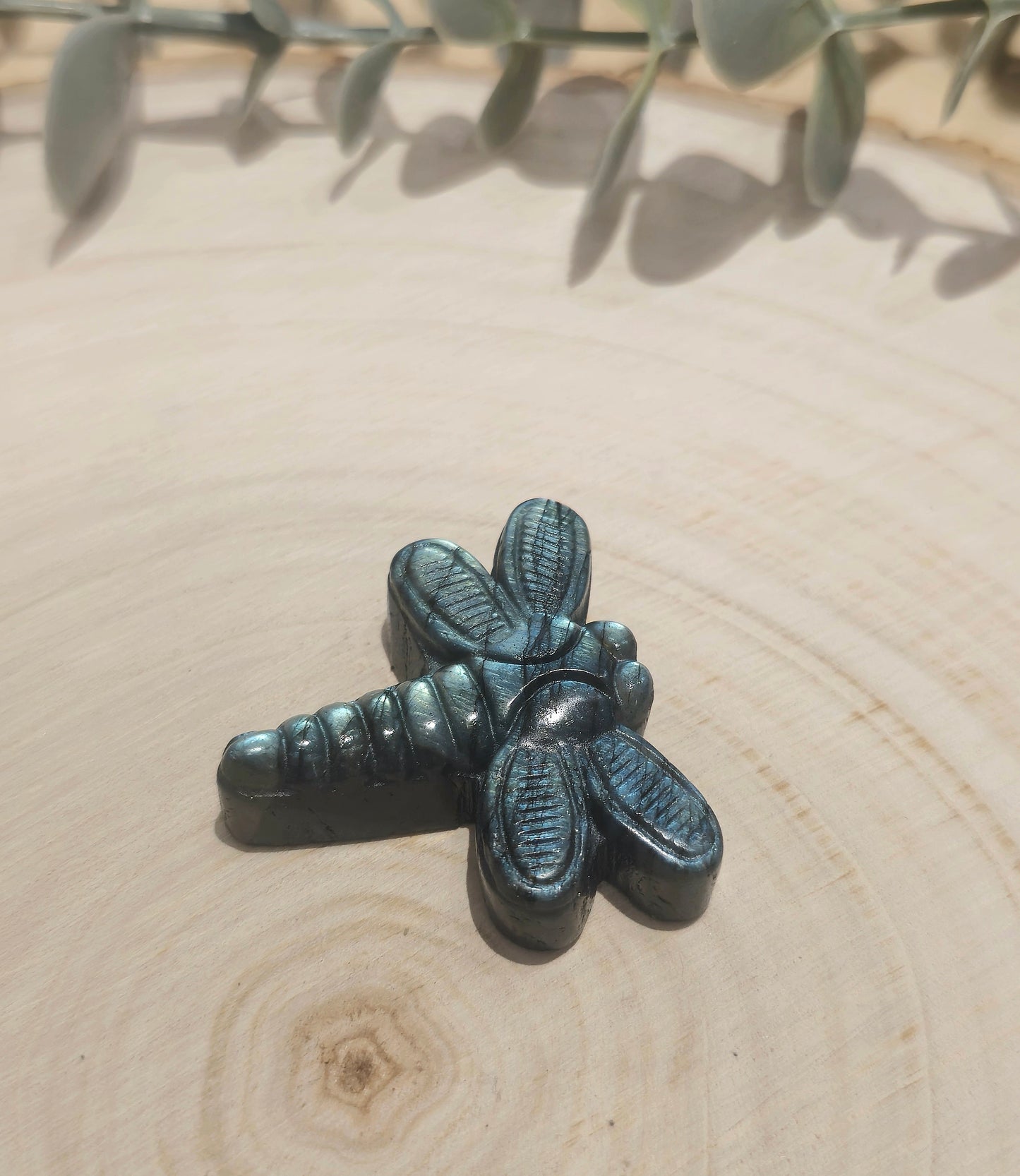 Libellule en Labradorite