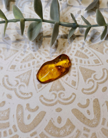 Ambre Baltique barattée