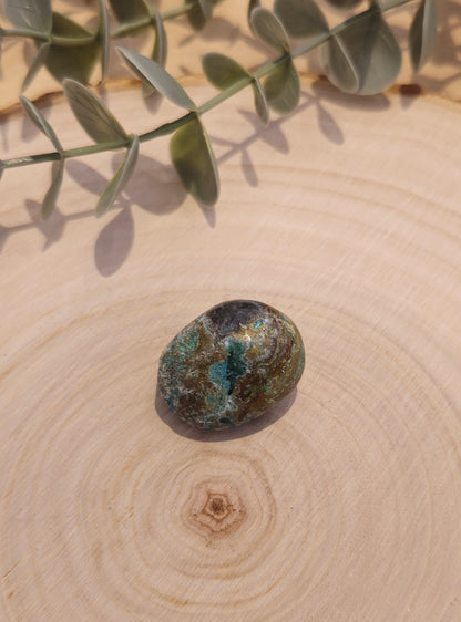 Quantum Quattro barattée