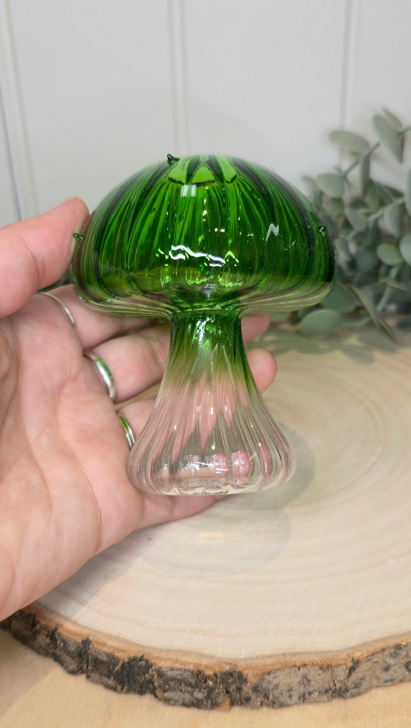 Vase champignon vert/transparent