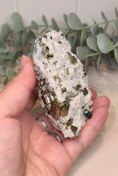 Pyrite dans Quartz brute