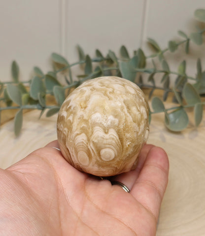 Crâne Agate Fleur ambrée