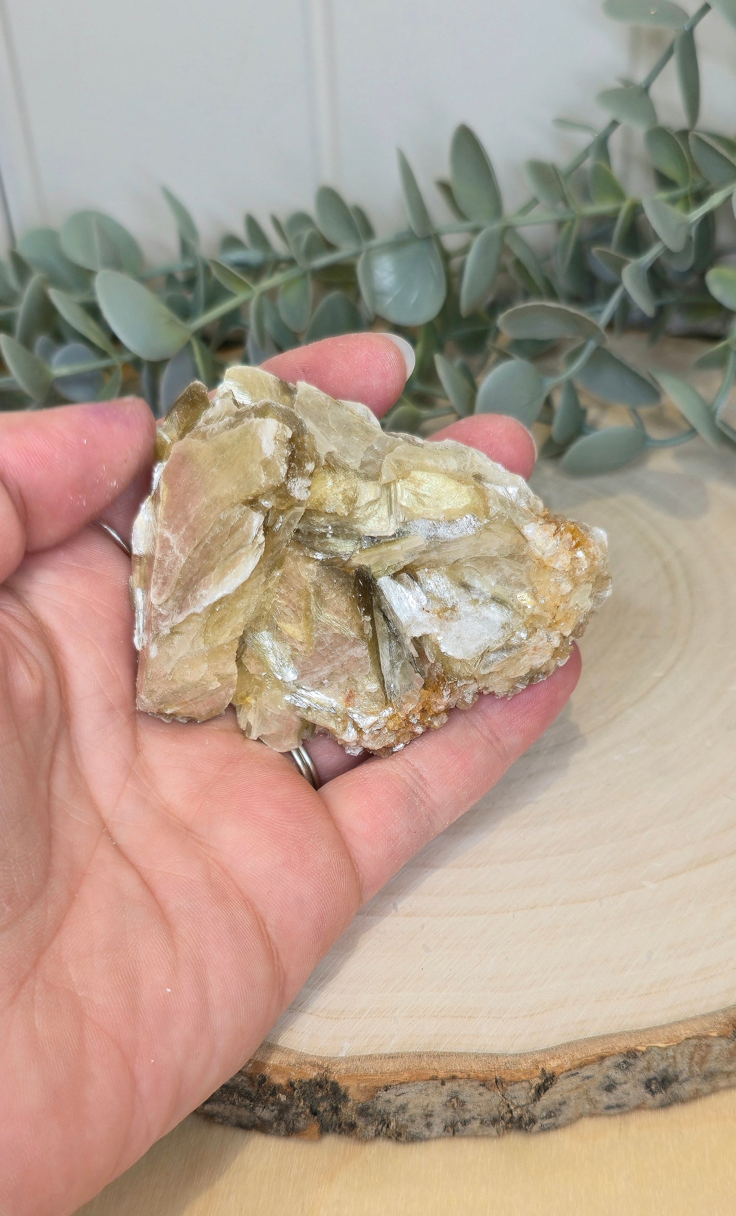 Muscovite du Brésil