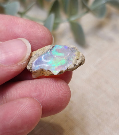 Opale d’Éthiopie brute