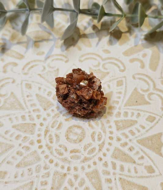 Aragonite brute