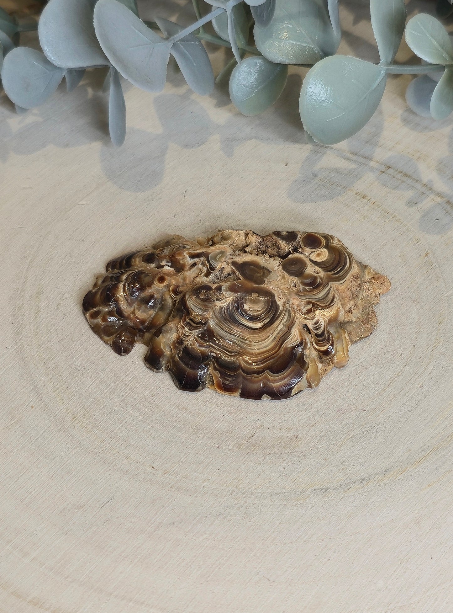 Tranche de Stalactite Aragonite