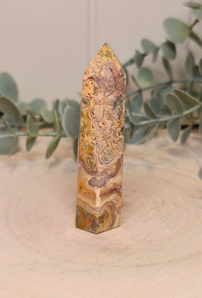 Pointe en Agate fou