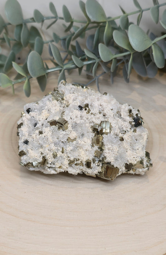 Pyrite dans Quartz brute