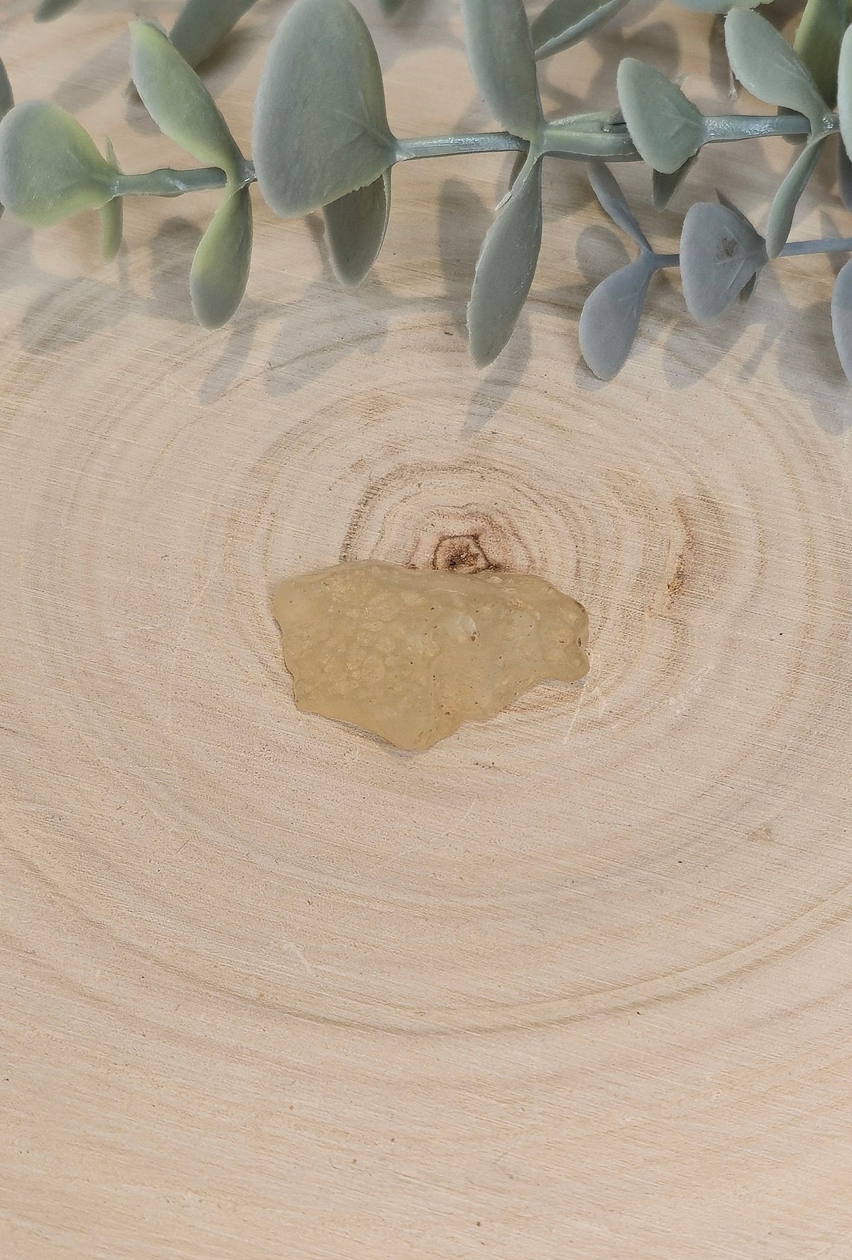 Verre de Libye du Désert du Sahara (Égypte)