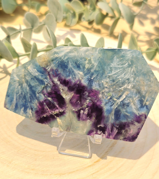 Tranche Feather Fluorite