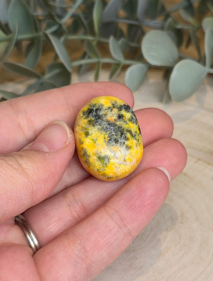 Jaspe Bumblebee barattée