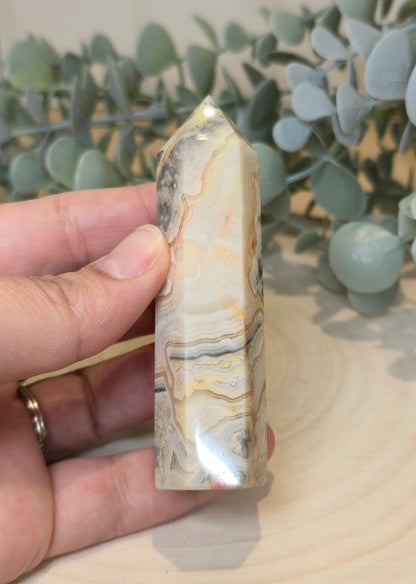 Pointe Agate Crazy lace (fou)