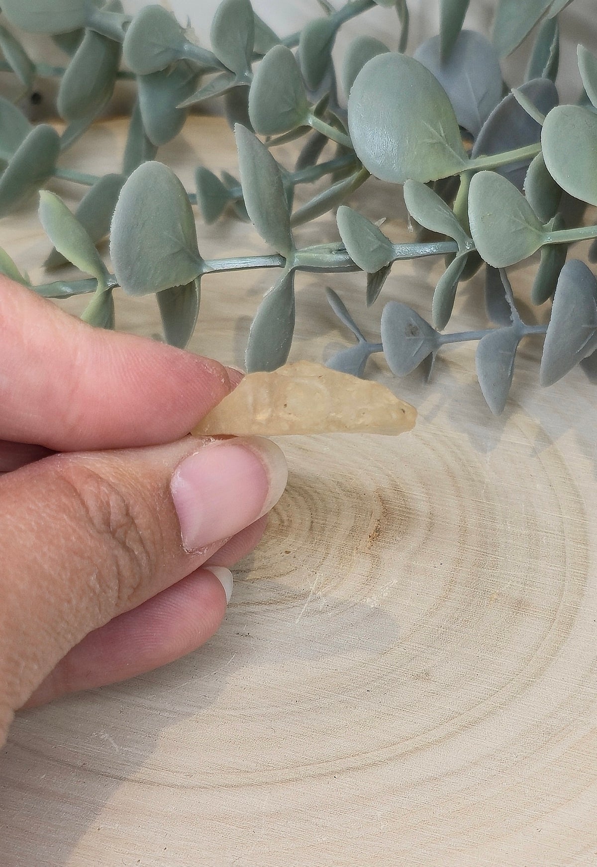 Verre de Libye du Désert du Sahara (Égypte)