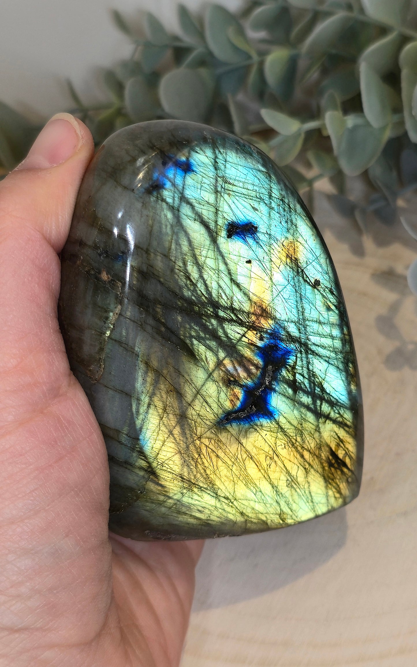 Freeform Labradorite