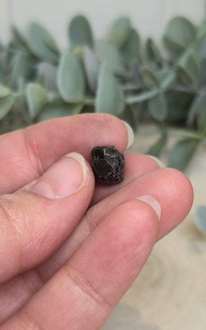 Grenat noir brute du Mali