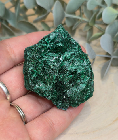 Malachite velour brute de l'Afrique