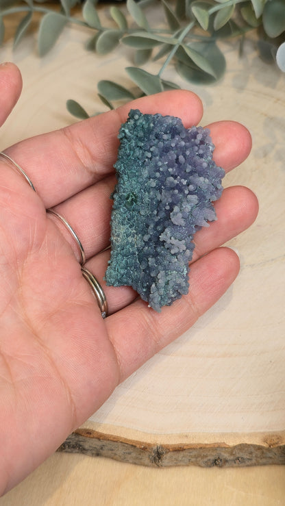 Agate raisin brute