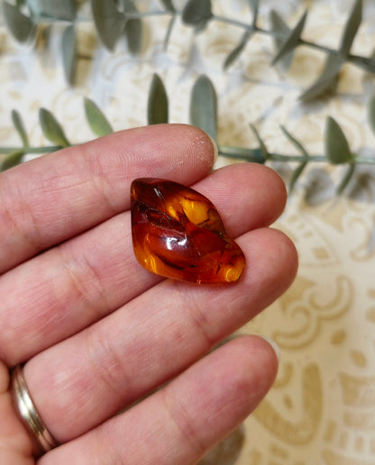 Ambre Baltique barattée