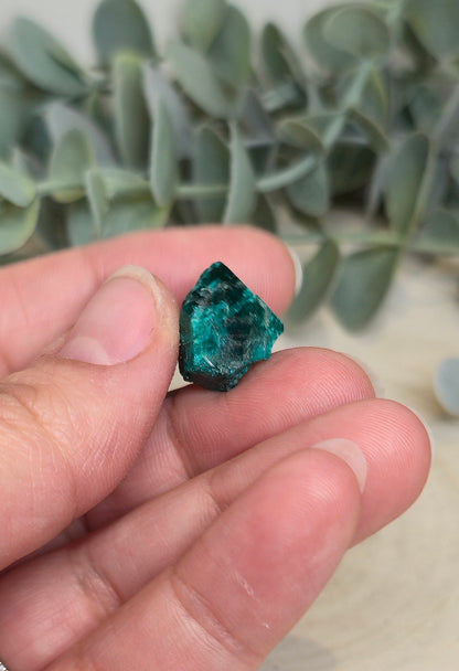 Dioptase brute