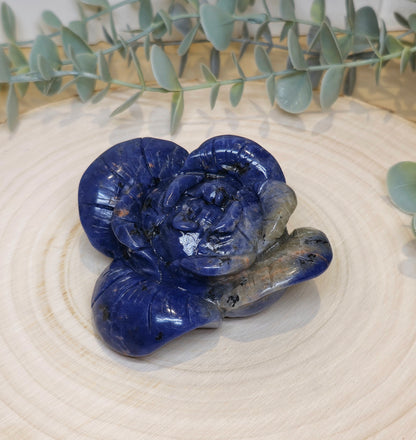 Fleur Sodalite