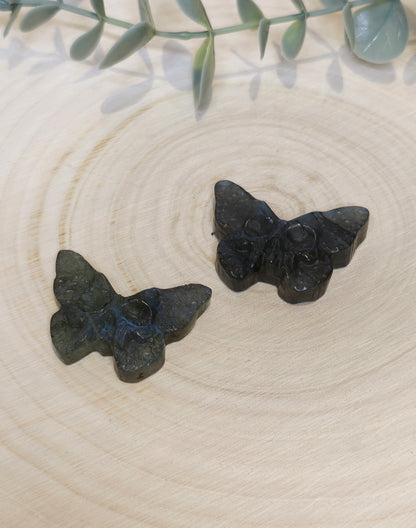 Papillon Crâne Labradorite bleutée