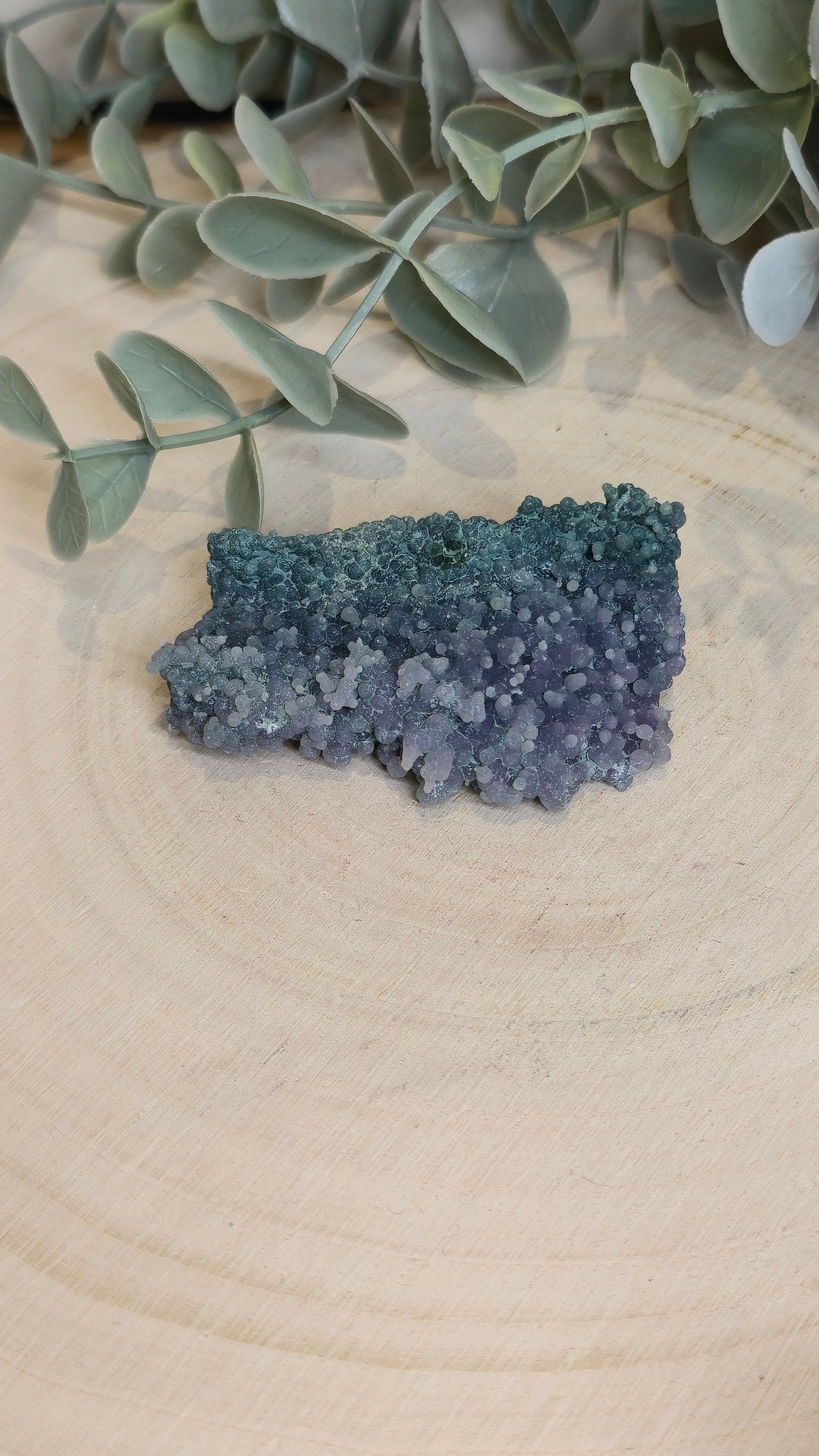 Agate raisin brute