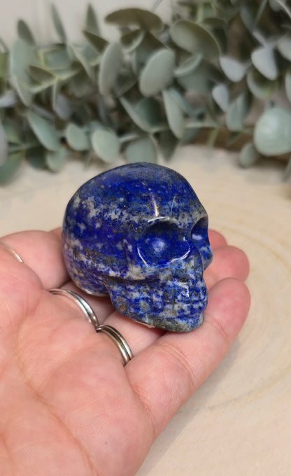 Crâne Lapis Lazuli