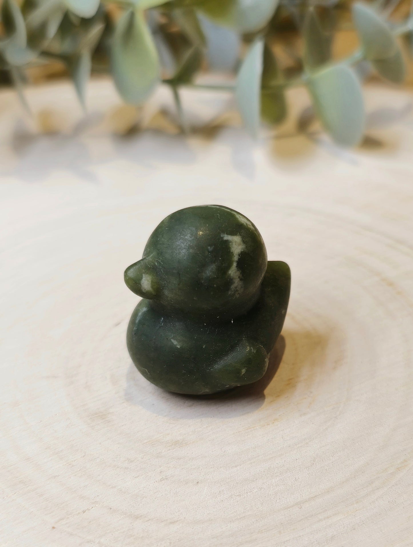 Canard Jade vert