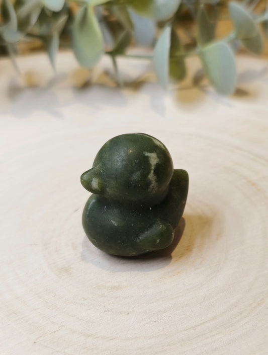 Canard Jade vert