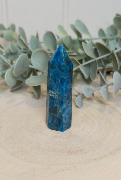 Pointe en Apatite