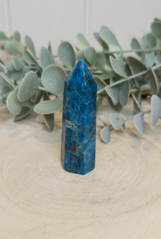 Pointe en Apatite