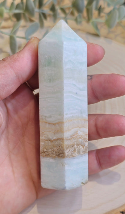 Pointe en Calcite des Caraïbes