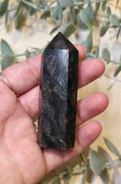 Pointe en Astrophyllite