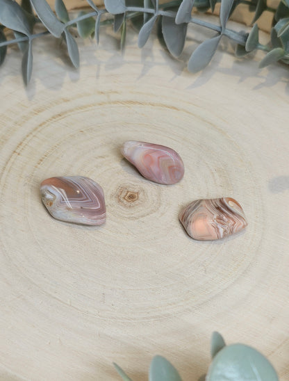 Agate Botswana Rose barattée