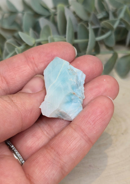 Larimar brute