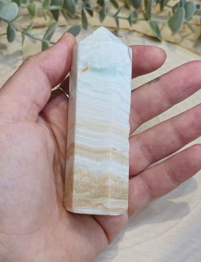 Pointe en Calcite des Caraïbes