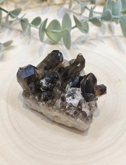 Amas en Quartz fumé