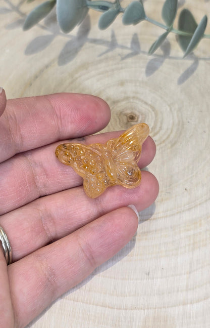 Papillon et fleurs en Golden Healer