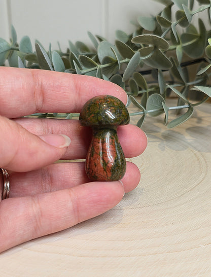 Champignon Unakite