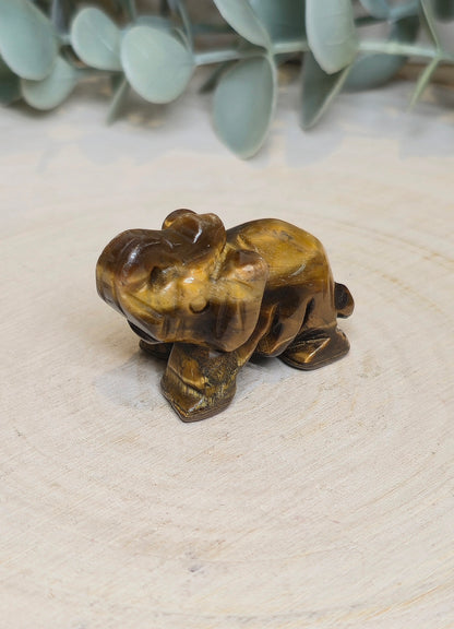 Éléphant Oeil de tigre