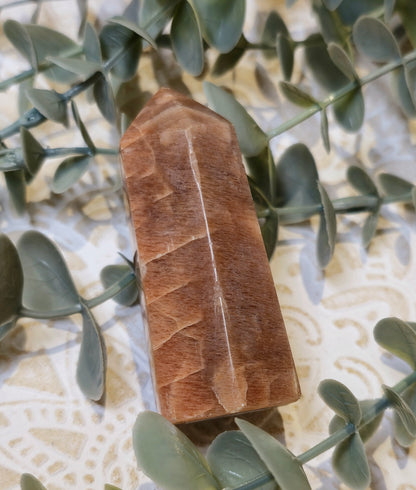 Pointe en Pierre de lune pêche