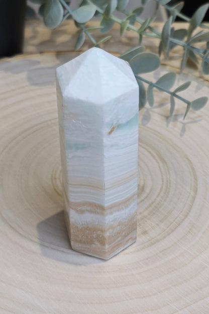 Pointe en Calcite des Caraïbes