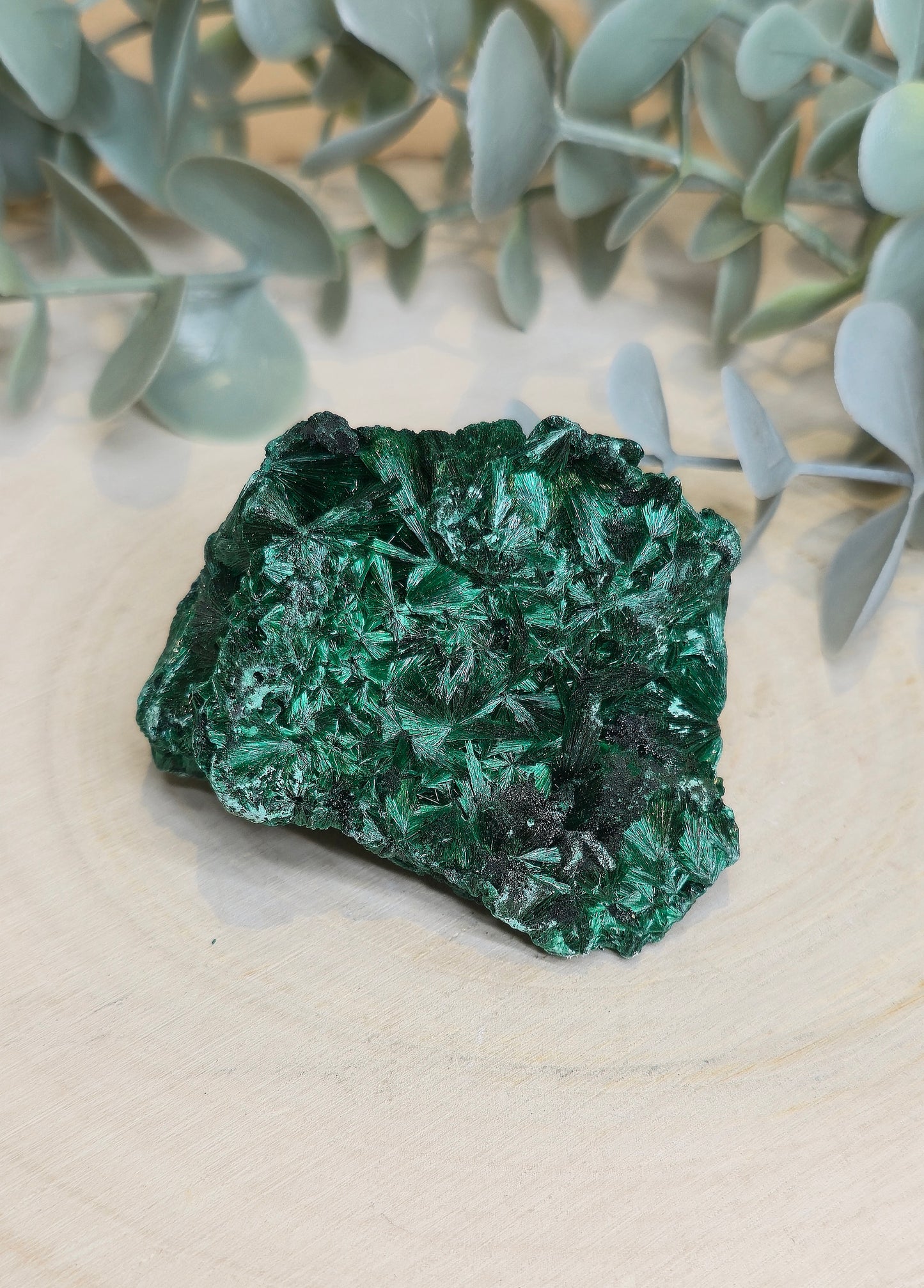 Malachite velour brute de l'Afrique