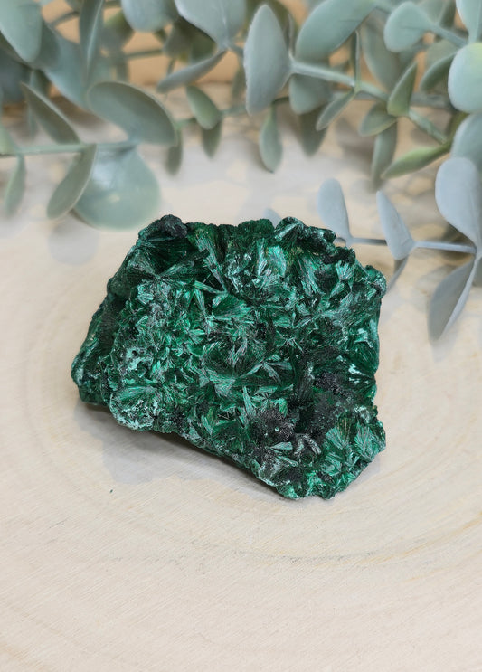Malachite velour brute de l'Afrique