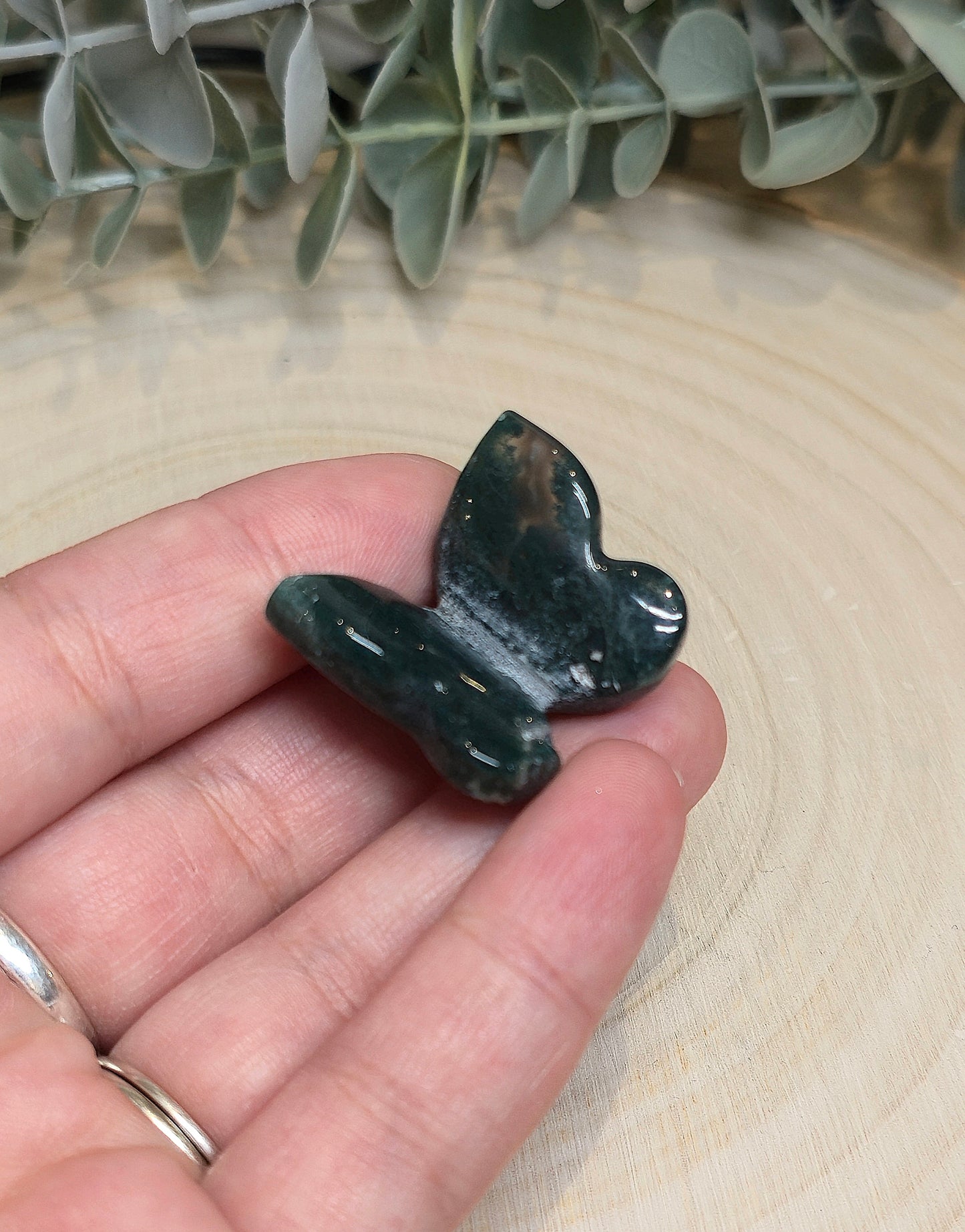 Papillon Agate mousse