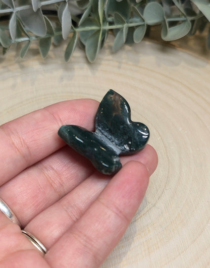 Papillon Agate mousse